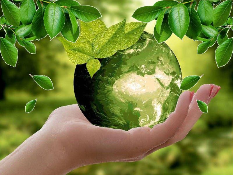 eco-earth-1